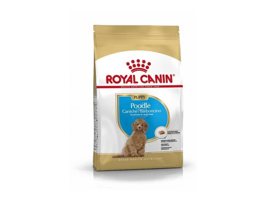 ROYAL CANIN PUPPY POODLE