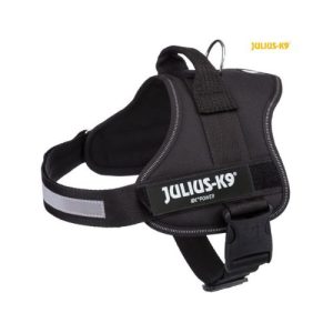 AM JULIUS K9 2/L-XL 71-96CM