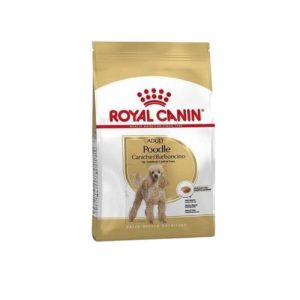 ROYAL CANIN ADULT POODLE 500G