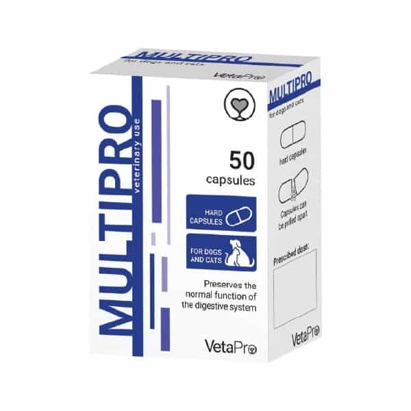 veta pro multipro pro-prebiotik za pse i mačke 10 kapsula (1tabla) 1 veta pro multipro pro-prebiotik za pse i mačke 10 kapsula (1tabla)