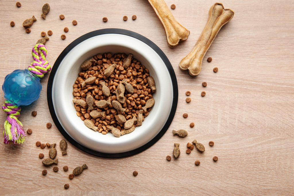 a bowl with dog food dog treats and toys on a woo 2024 12 07 22 49 34 utc 1 1