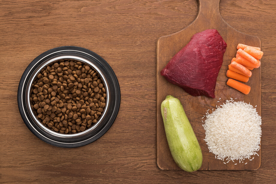 top view of dry pet food in silver bowl near raw m 2024 11 14 22 25 05 utc 1 1 1