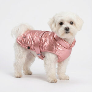 CAMON JAKNA CHERRY POSTAVLJENA 40CM