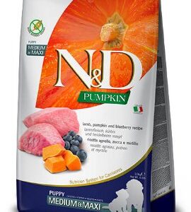 Shop 23 N&D PUMPKIN MEDIUM MAXI PUPPY JAGNJETINA I BOROVNICA 12kg