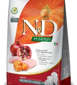 Shop 24 N&D PUMPKIN MEDIUM MAXI PUPPY PILETINA I NAR 12kg